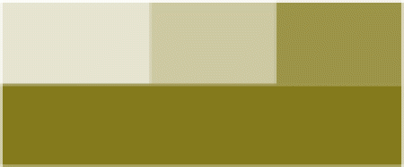 CHLOROPHYLLIN SODIUM MAGNESIC